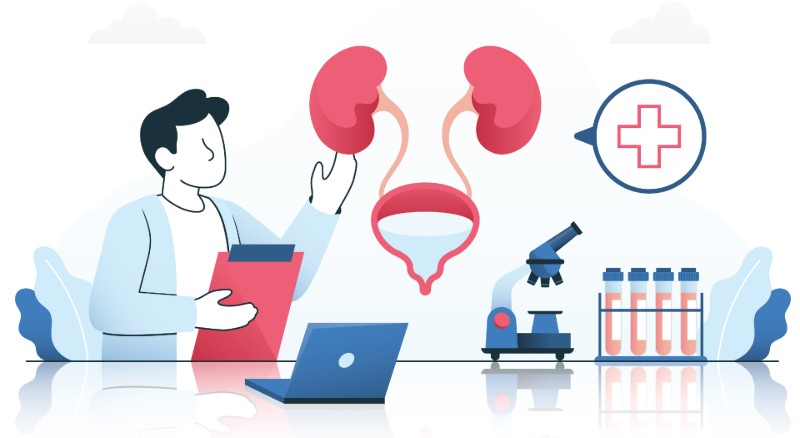 Why You Should See a Urologist For Urinary or Kidney Problems